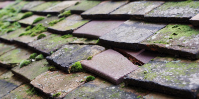 Droylsden roof repair costs